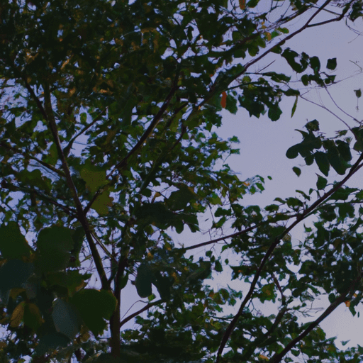 Tips Perawatan Kendaraan di Musim Hujan untuk Menghindari Kerusakan